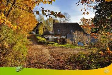 Das Bild zeigt eine heitere Herbstszene mit einem Haus, einem Feldweg und buntem Laub, mit einem dezenten Wasserzeichen und einem grünen Frosch im Vordergrund.