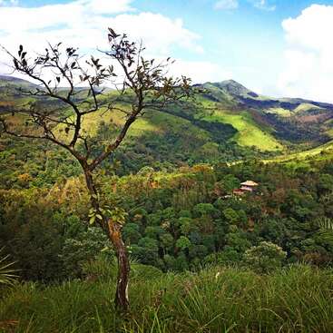 The image depicts a serene landscape featuring a tree in the foreground, lush green hills, and a distant house, set against a blue sky with white clouds.