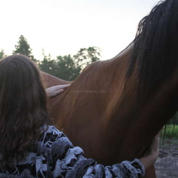 A woman with long brown hair is petting a brown horse, wearing a black and white patterned sweater. The horse has a dark mane.