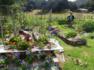 Das Bild zeigt eine heitere Gartenszene mit zwei Menschen, die sich um Pflanzen kümmern, umgeben von üppigem Grün und leuchtenden Blumen, mit einer Vogelscheuche im Hintergrund.