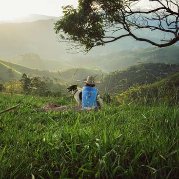 A person sits on a blanket in a grassy field with their dog, gazing out at rolling hills and mountains under a tree\'s canopy.