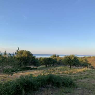 The image depicts a serene landscape featuring a grassy field, trees, and a body of water, set against a clear blue sky.