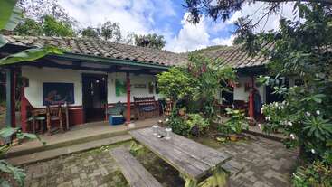 The image depicts a serene outdoor setting, featuring a large tree and a body of water, with a small island in the center, surrounded by lush greenery and a clear sky.