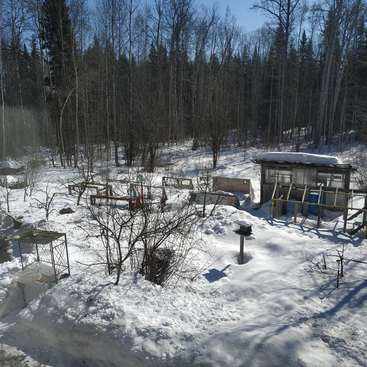 The image depicts a snow-covered garden with a small shed, surrounded by trees and featuring a bird feeder and other structures, likely taken during winter.