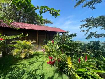 The image depicts a small wooden house with a red roof, surrounded by lush tropical plants and trees, set against a bright blue sky.