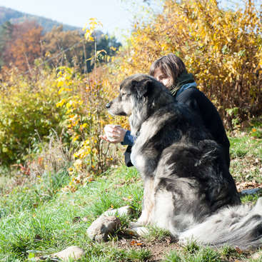 The image depicts a serene scene of a woman sitting with a large dog in a grassy field, surrounded by trees and bushes, on a sunny day.