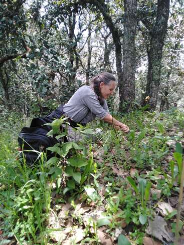 A woman is crouched in a wooded area, surrounded by trees and greenery, with a black bag on the ground behind her.