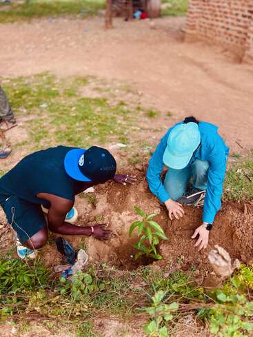 Two people are working together outdoors, planting a young tree in the soil. They are focused on covering the plant’s roots with dirt, helping the environment.