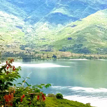 The image depicts a serene lake nestled among lush green hills, with a vibrant red plant in the foreground and a clear blue sky above.