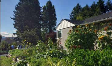 The image depicts a serene scene of a house with a lush garden, featuring a vibrant green lawn and a variety of plants, evoking a sense of tranquility and natural beauty.