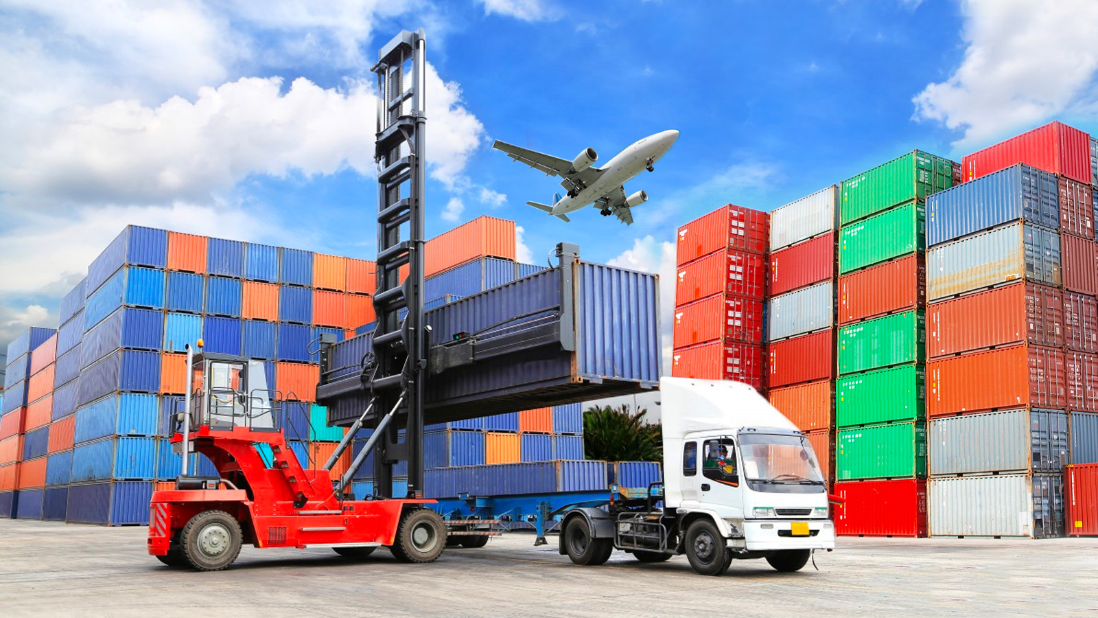 Freight Forwarding Made Easy: Choosing the Right Carrier for Your Needs