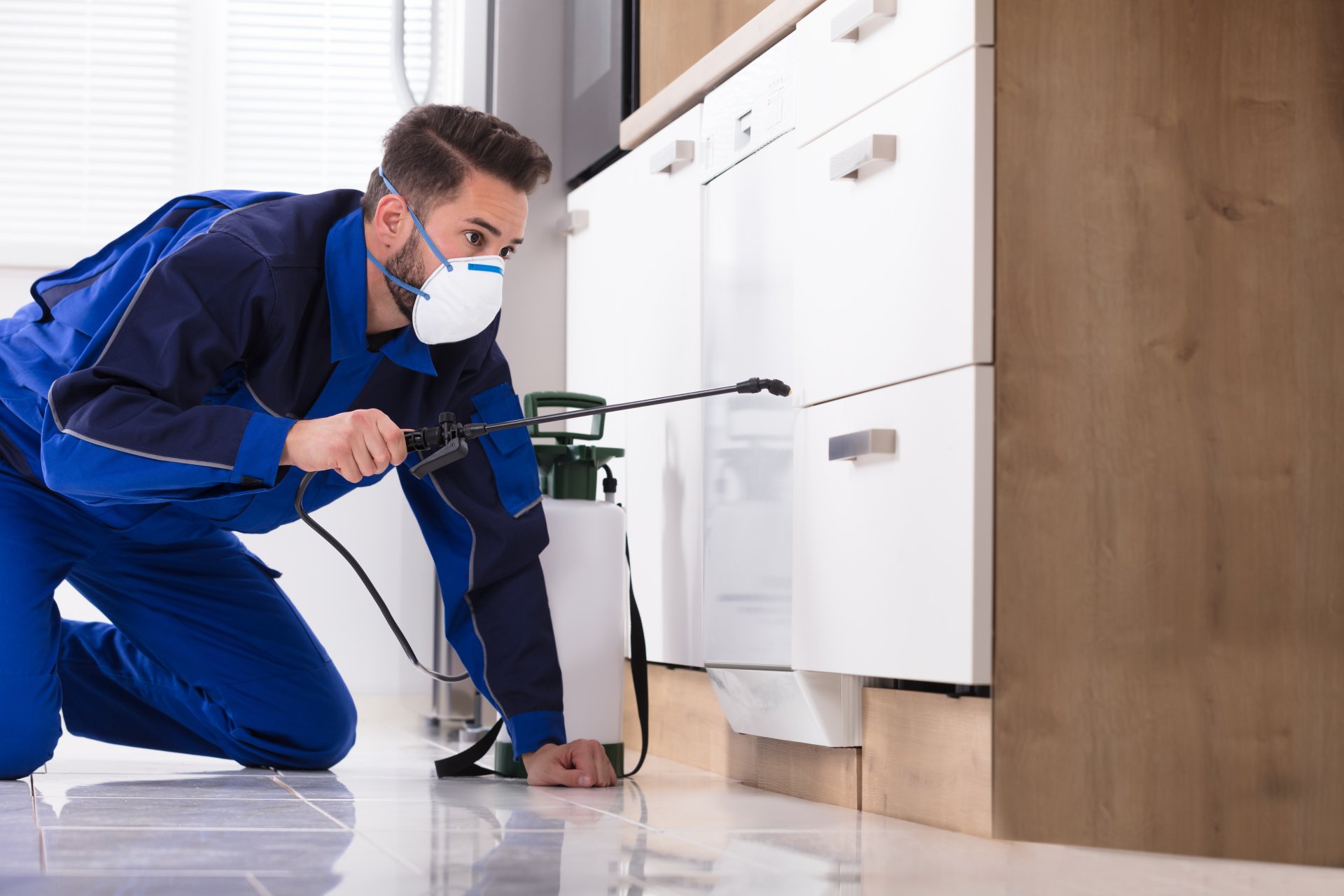 Pest Control Services: Protecting Your Property and Loved Ones from Pest Infestations