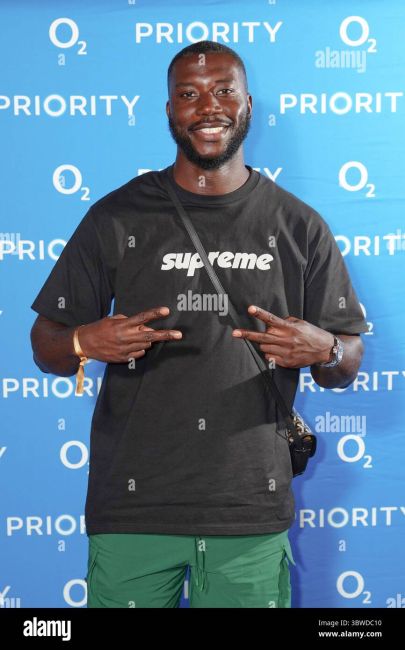 Exploring the Diversity of Harry Pinero’s Official Merchandise Collection